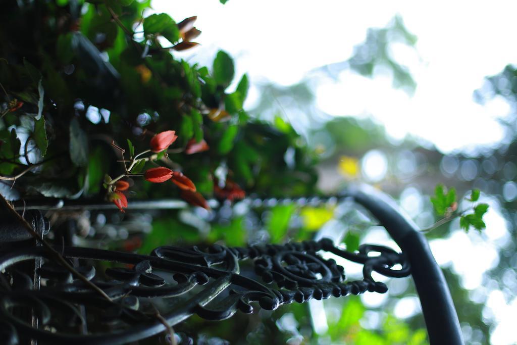 Greenspaces B&B Munnar Exterior foto